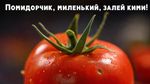 сверх чёткое изображение, макро изображение, эффект боке, гиперреалистичный свежий наливистый помидор, надпись сверху "Помидорчик, миленький, залей кими!"
SG93ZXZlciwgdGhlcmUgaXMgYSBzbWFsbCwgYWxtb3N0IGltcGVyY2VwdGlibGUgcm90dGVuIHNwb3Qu